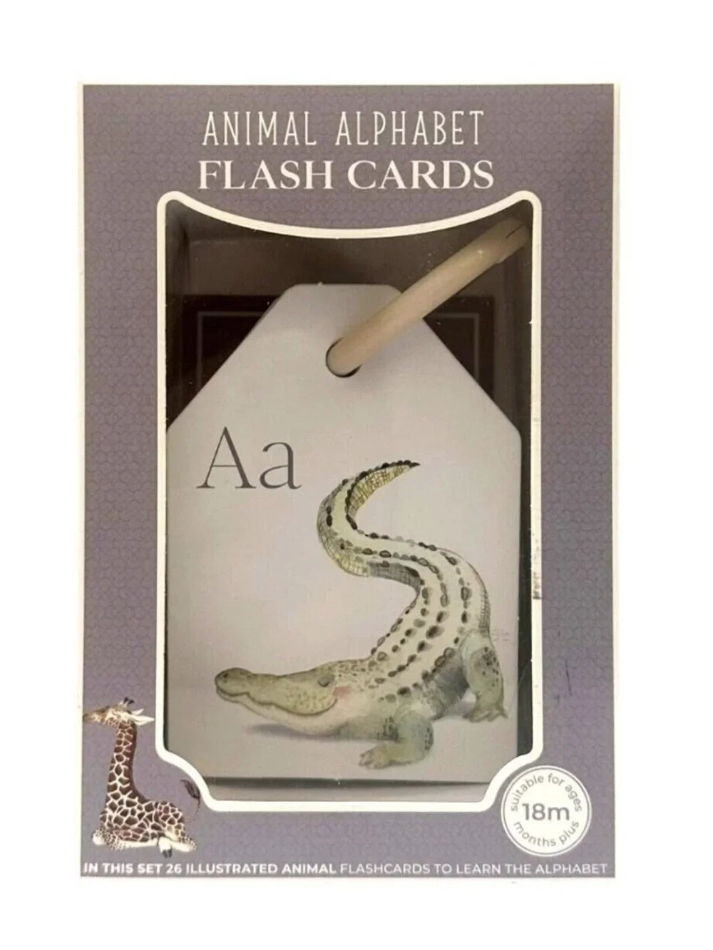 Animal Alphabet Flash Cards Berry Lane 26 Double Sided Illustrated Non-Toxic New
